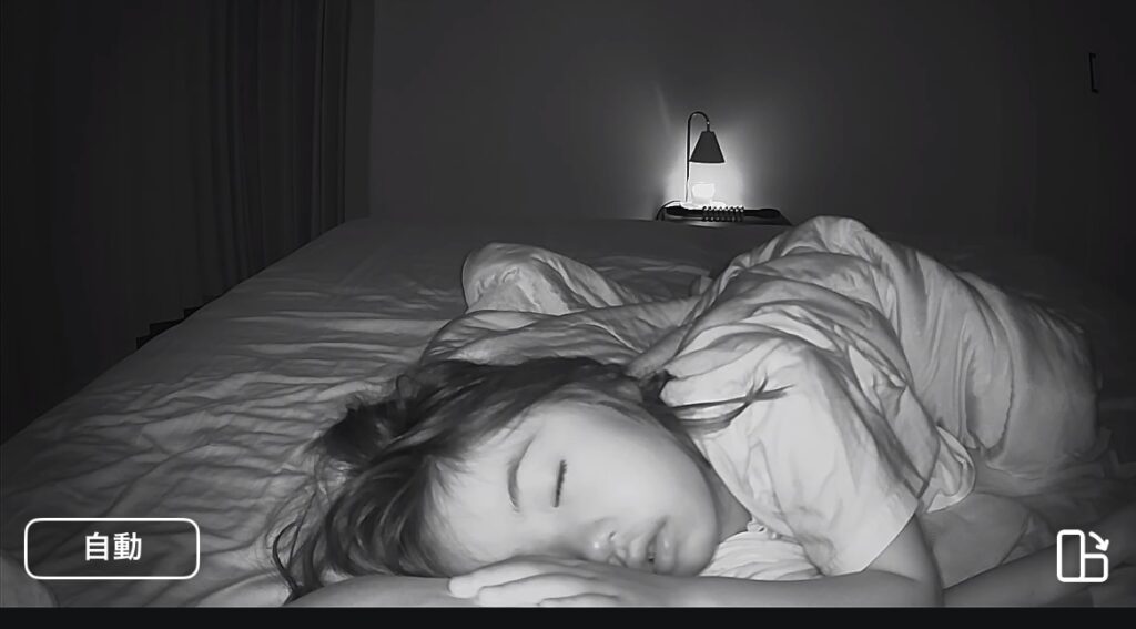 夜間の映像