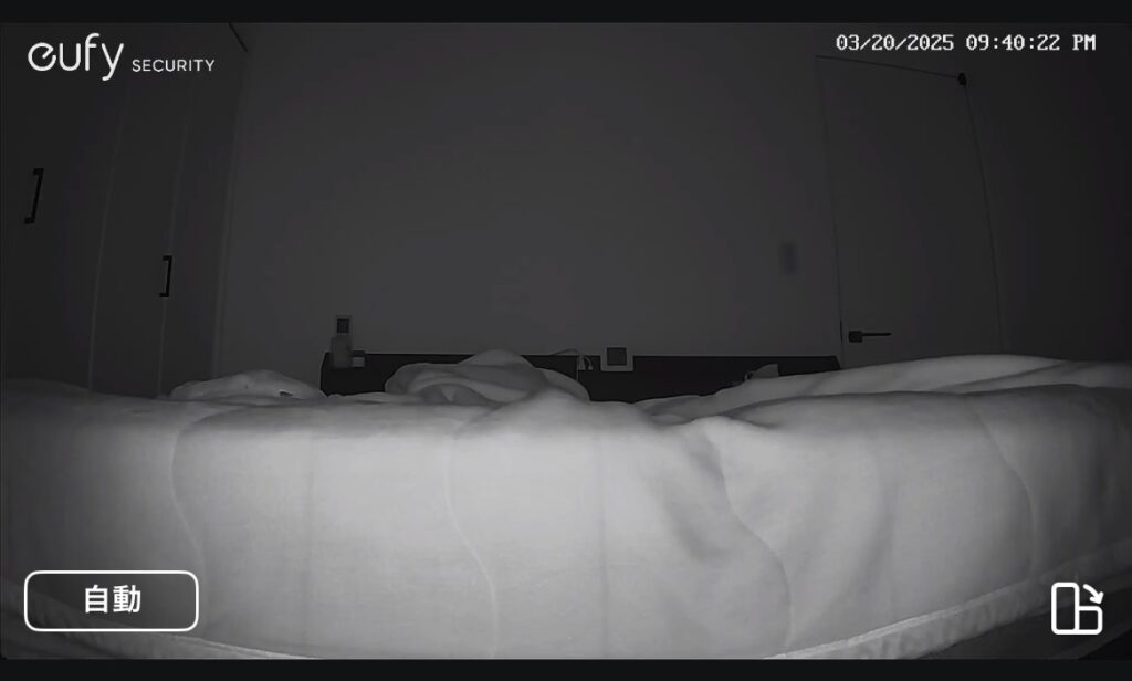 夜間の映像