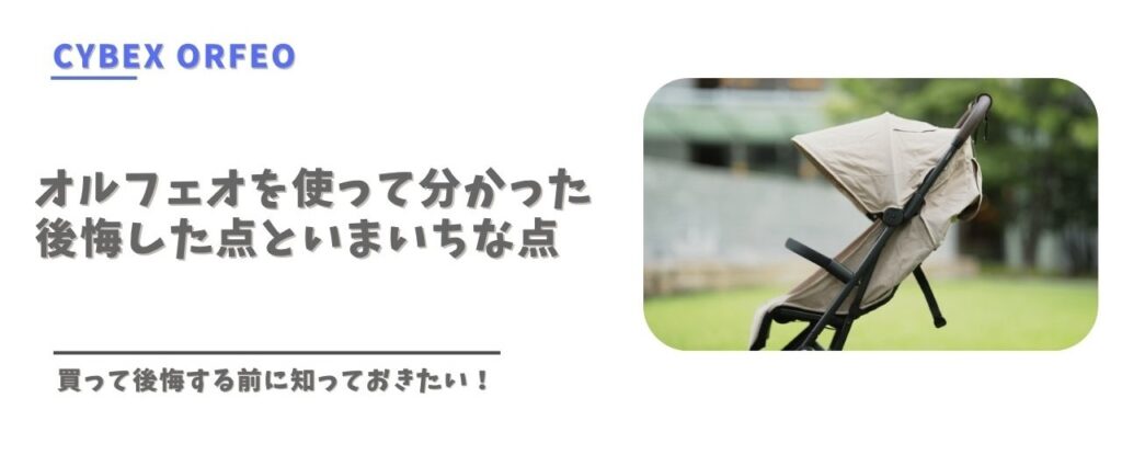 サイベックスオルフェオを購入して後悔した点